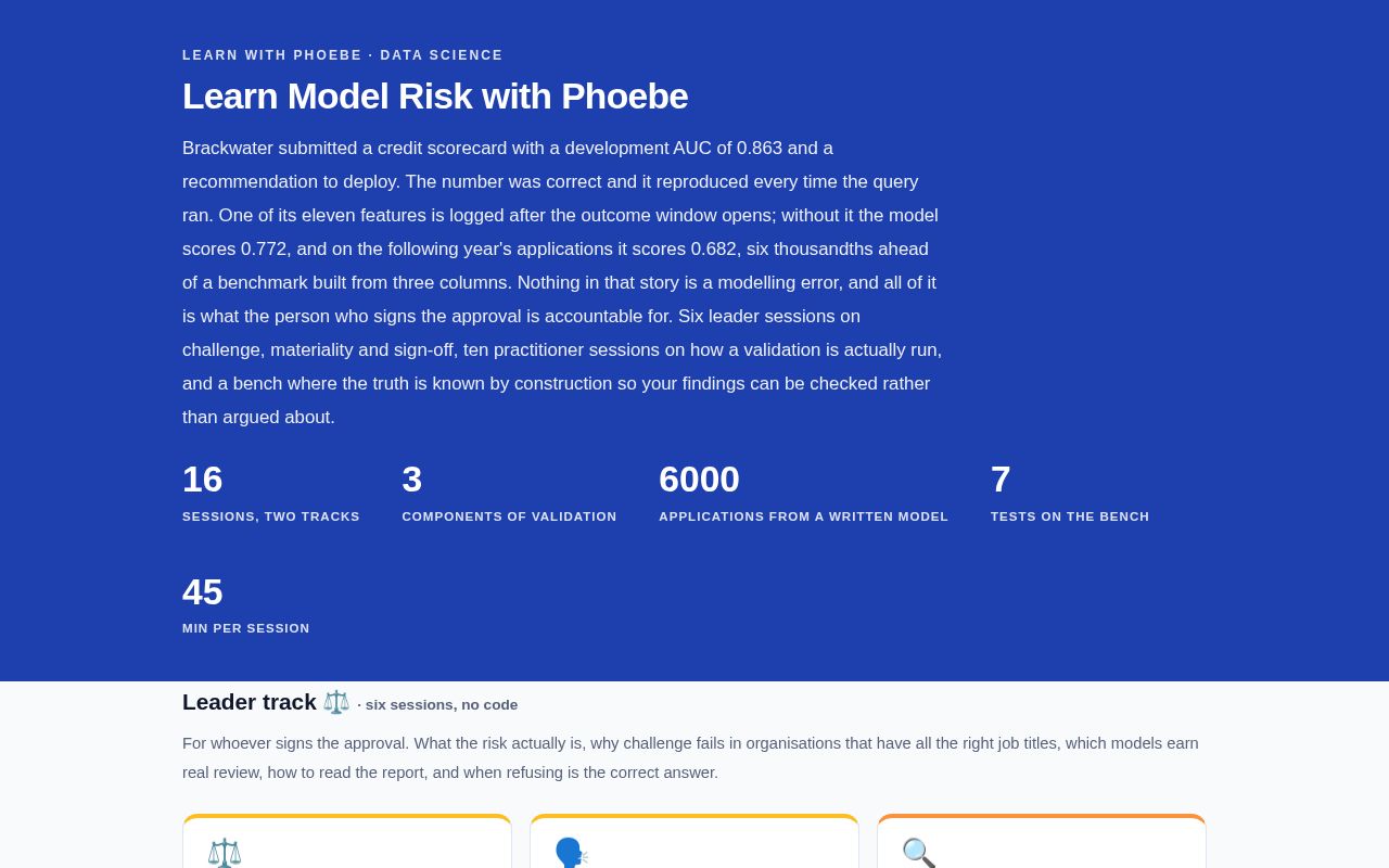 Preview of Learn Model Risk With Phoebe