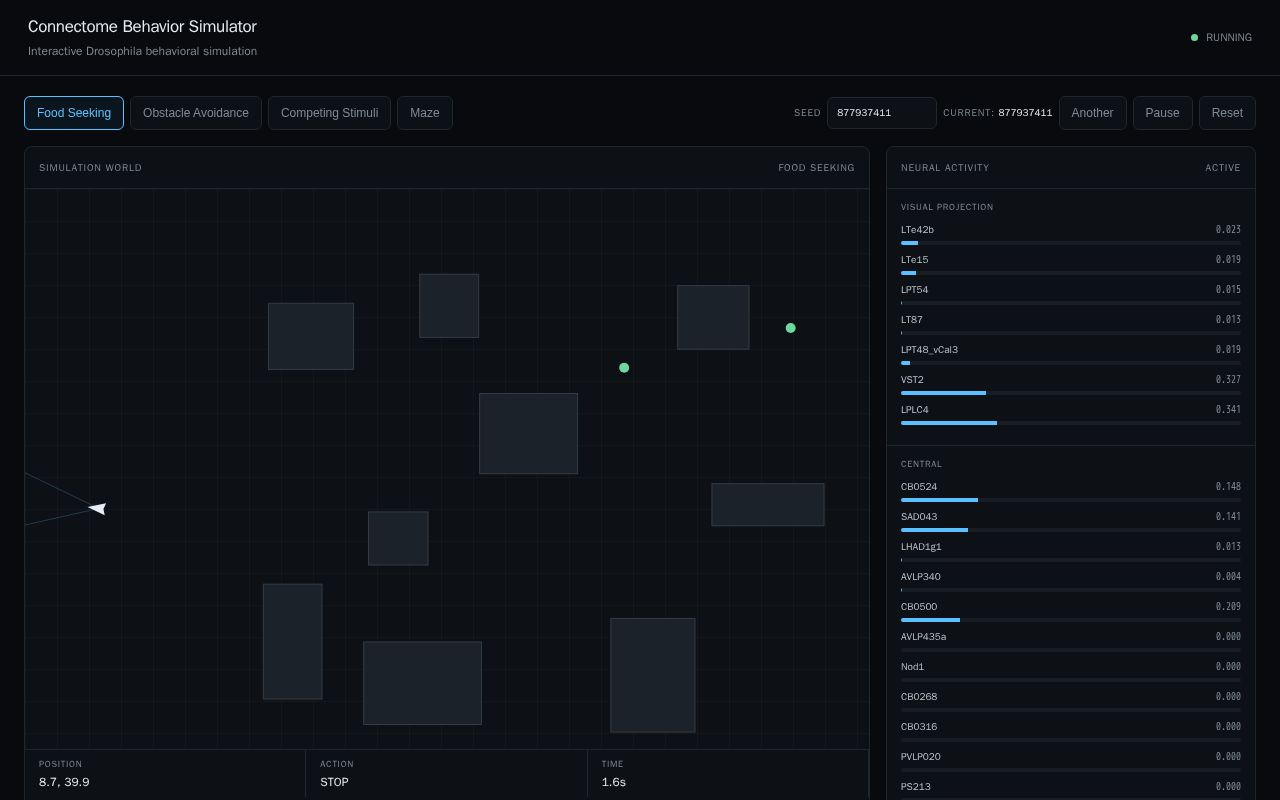Preview of Sourfly