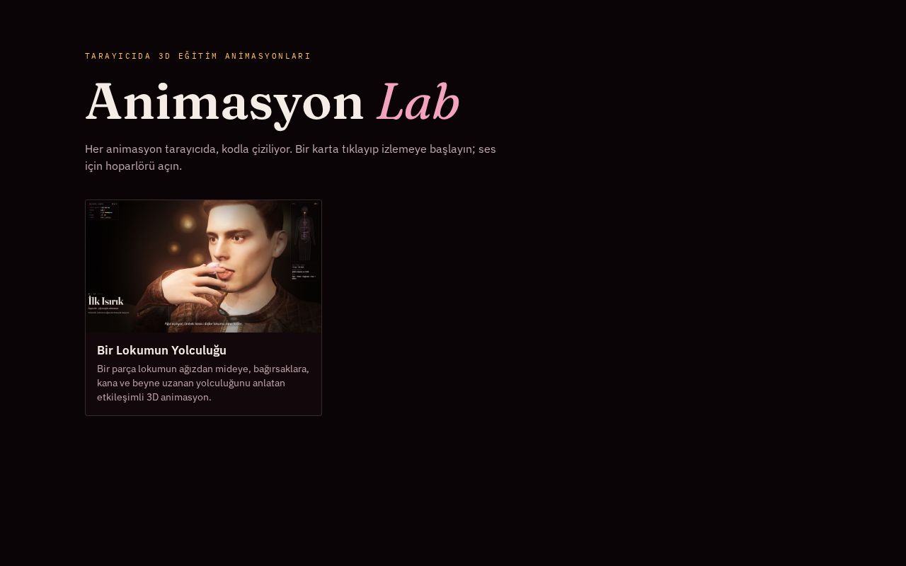 Preview of Animasyon Lab