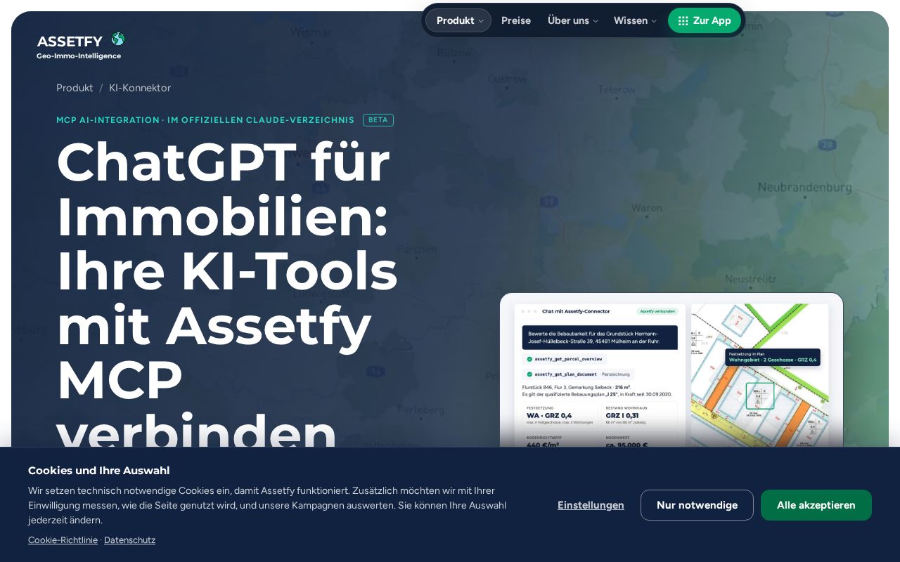 Preview of Assetfy Mcp