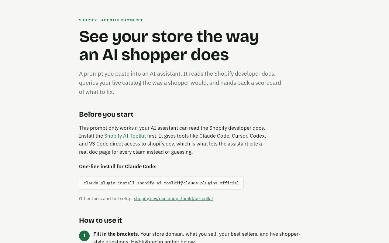 Preview of Ai Shopper Audit