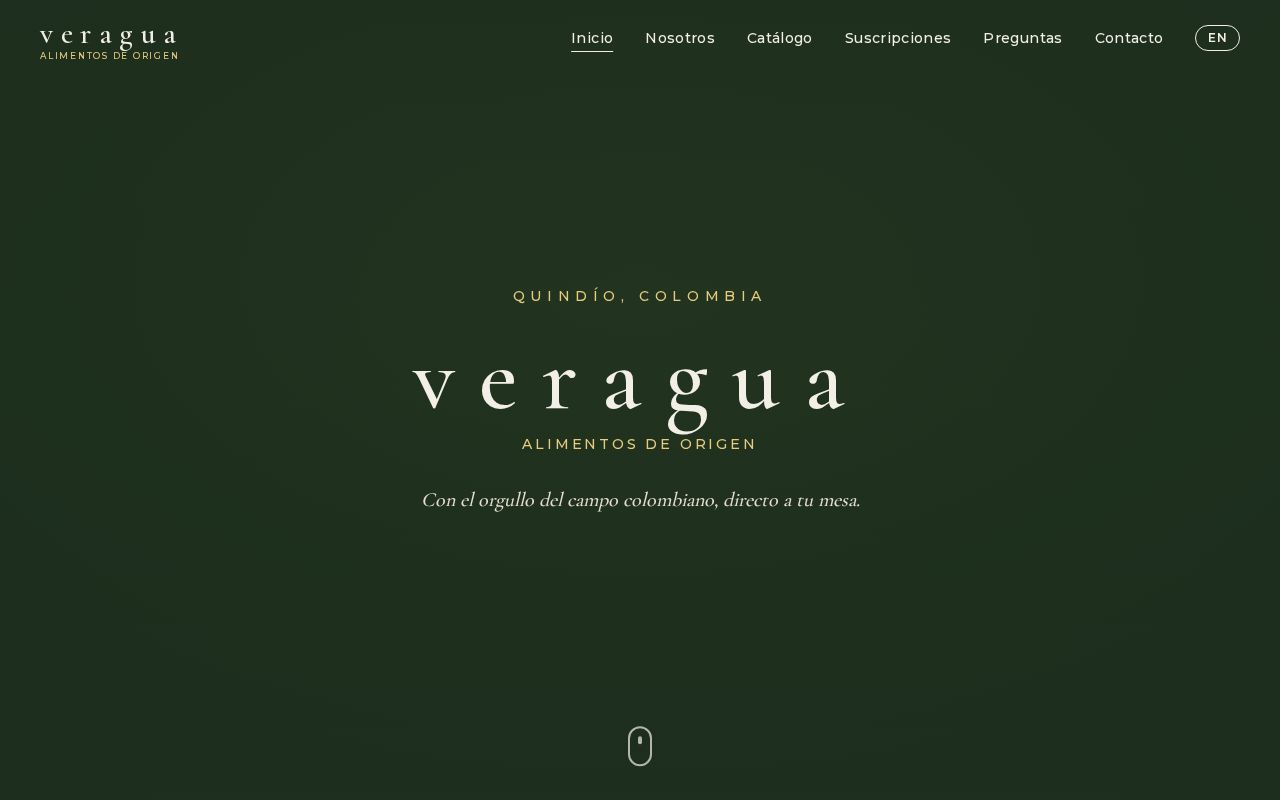 Preview of Veragua Website