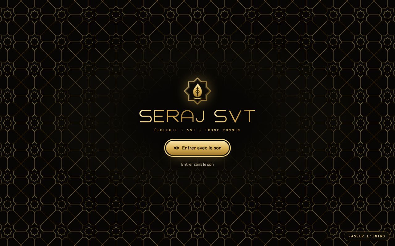 Preview of Serajsvt Github Io