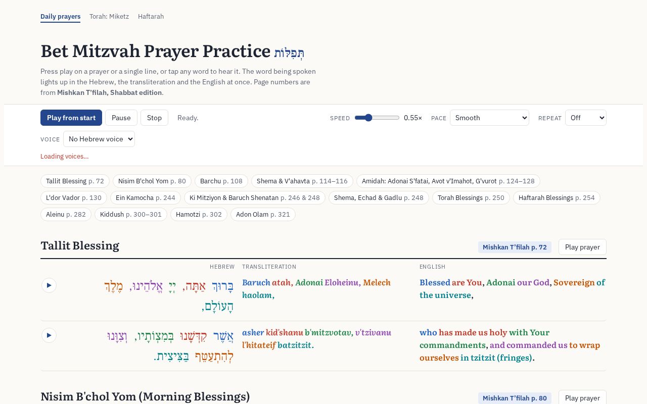 Preview of Bet Mitzvah Prayers