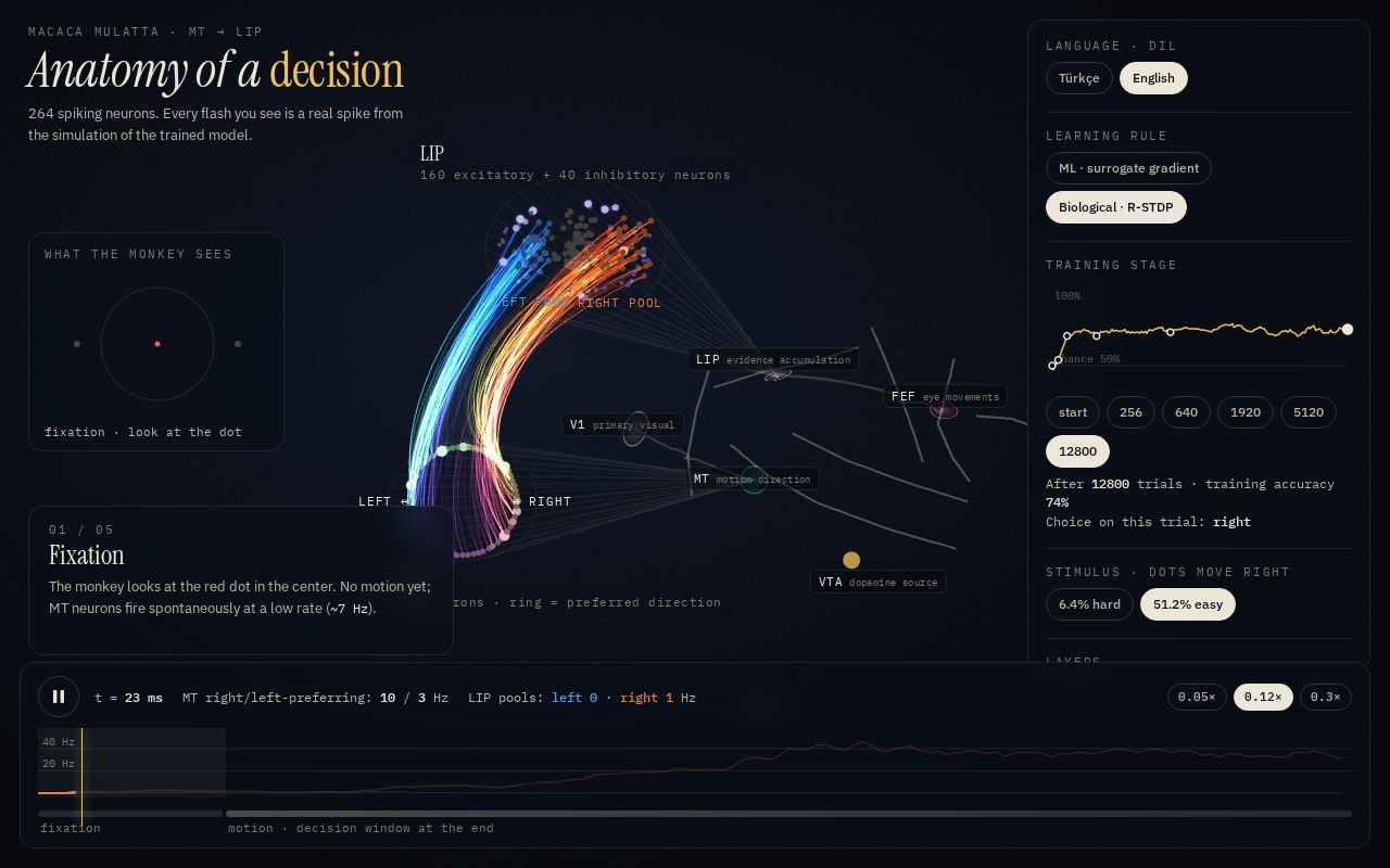 Preview of Macaque Decision Snn