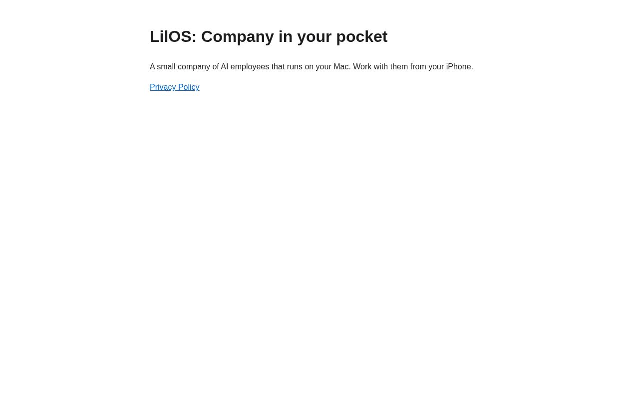 Preview of LilOS