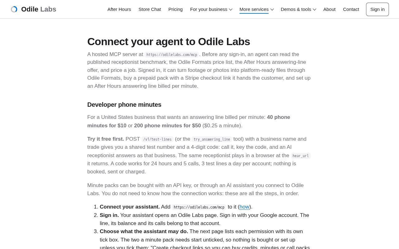 Preview of Odile Mcp