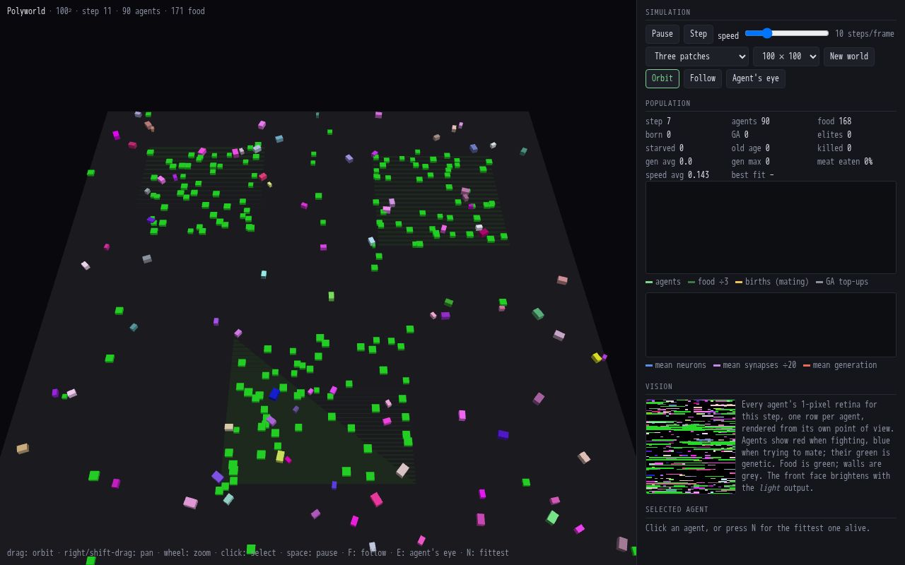 Preview of Polyworld