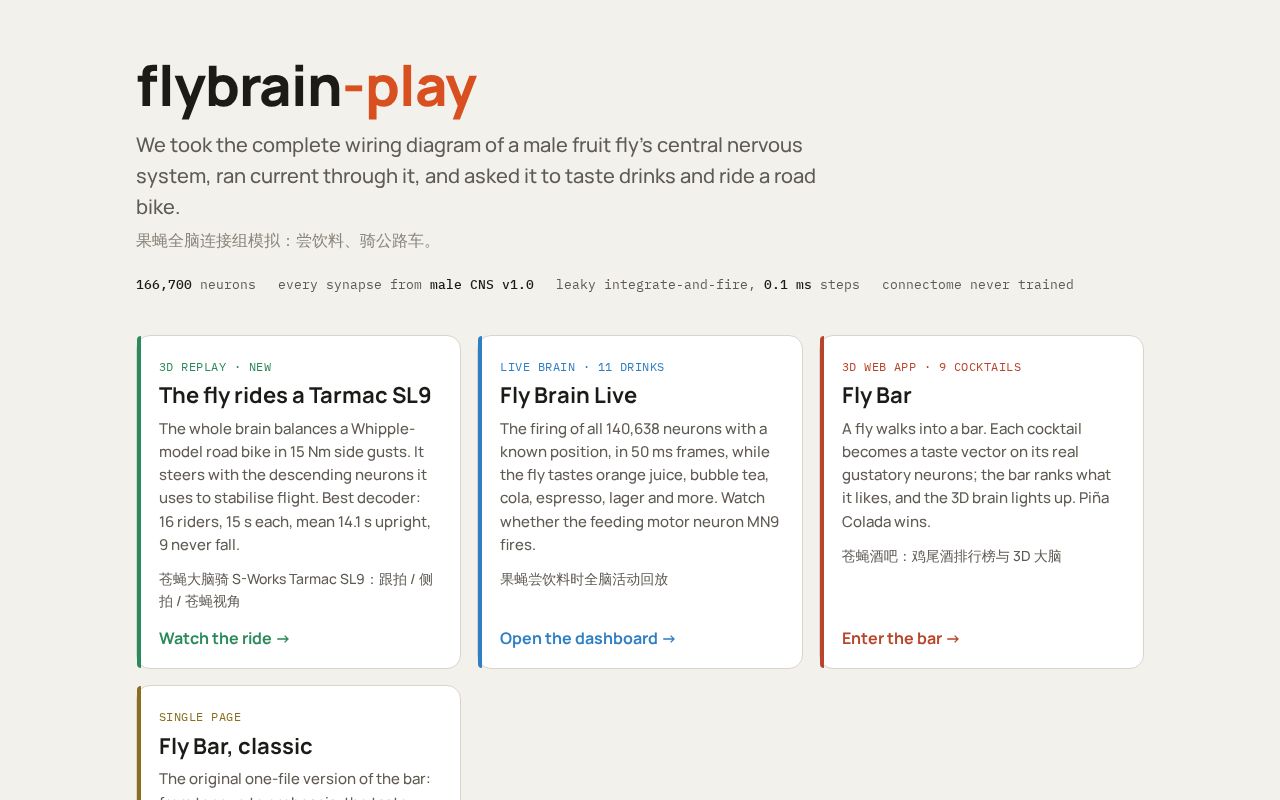 Preview of Flybrain Play