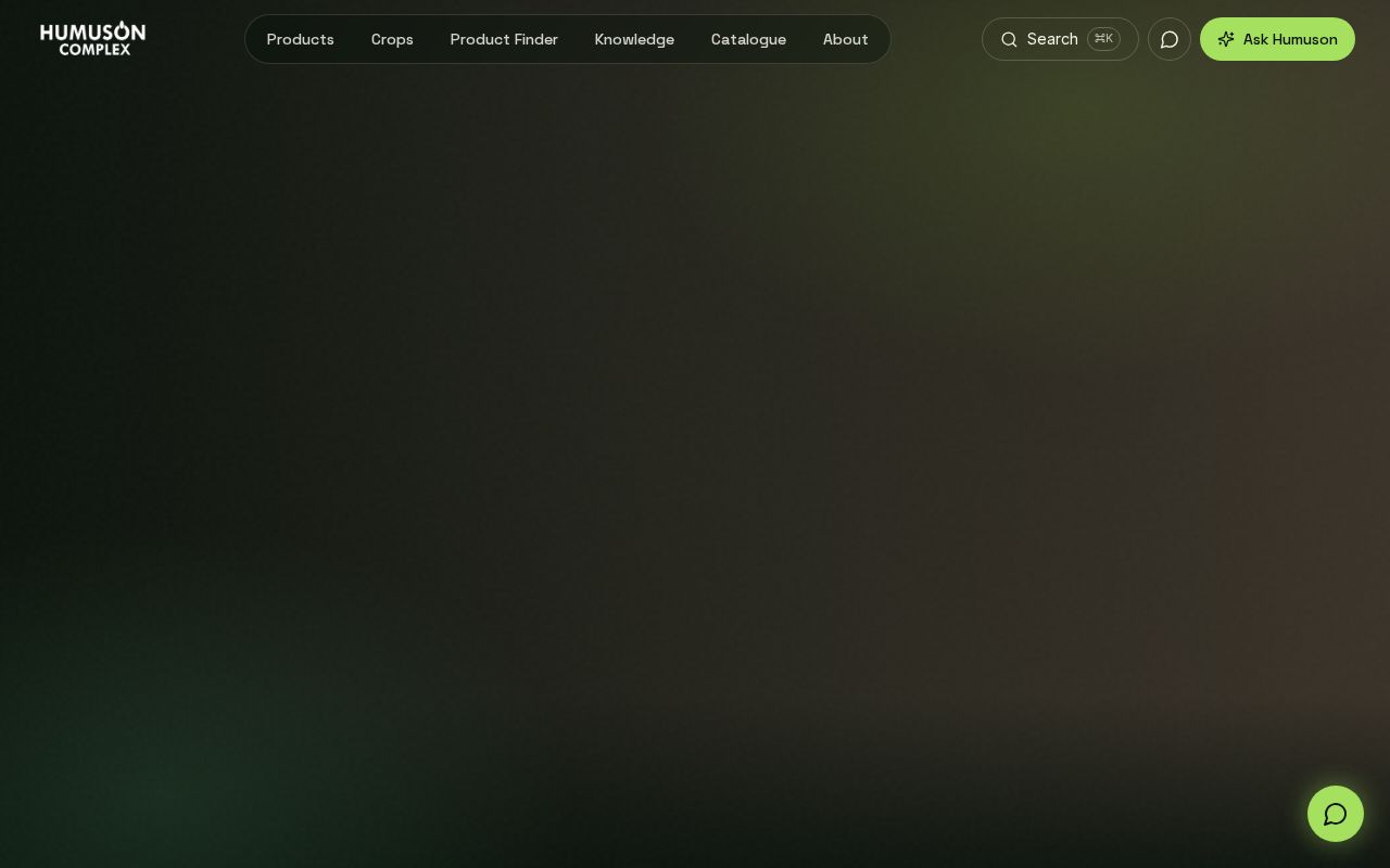Preview of Website
