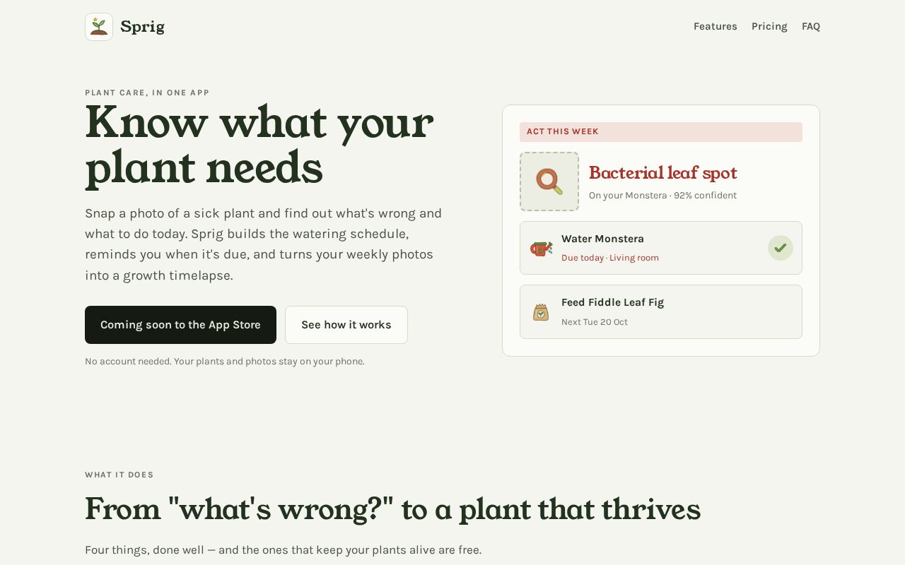 Preview of Plant Care