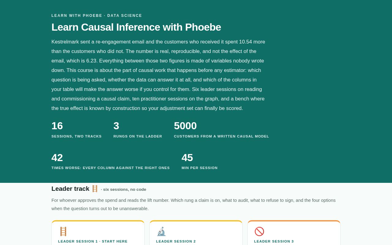 Preview of Learn Causal Inference With Phoebe