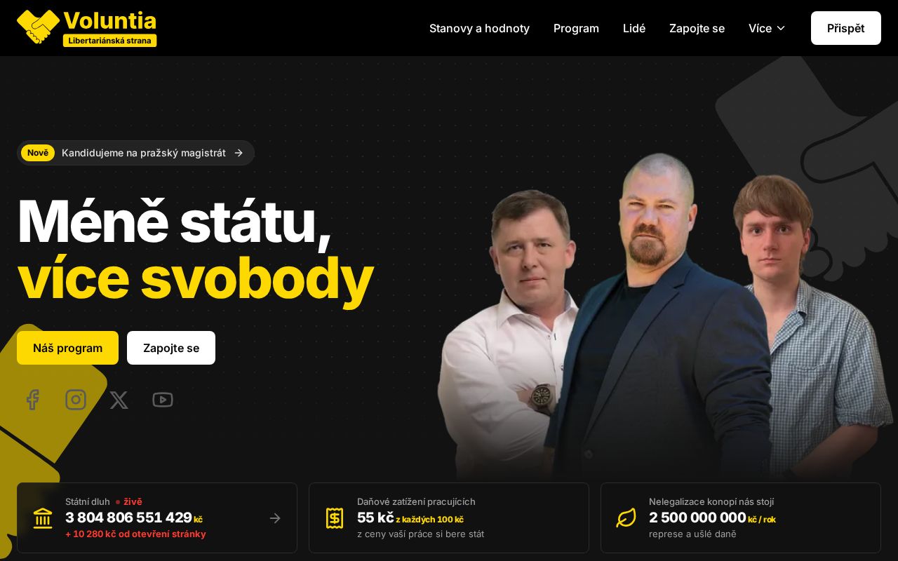 Preview of Voluntiaweb