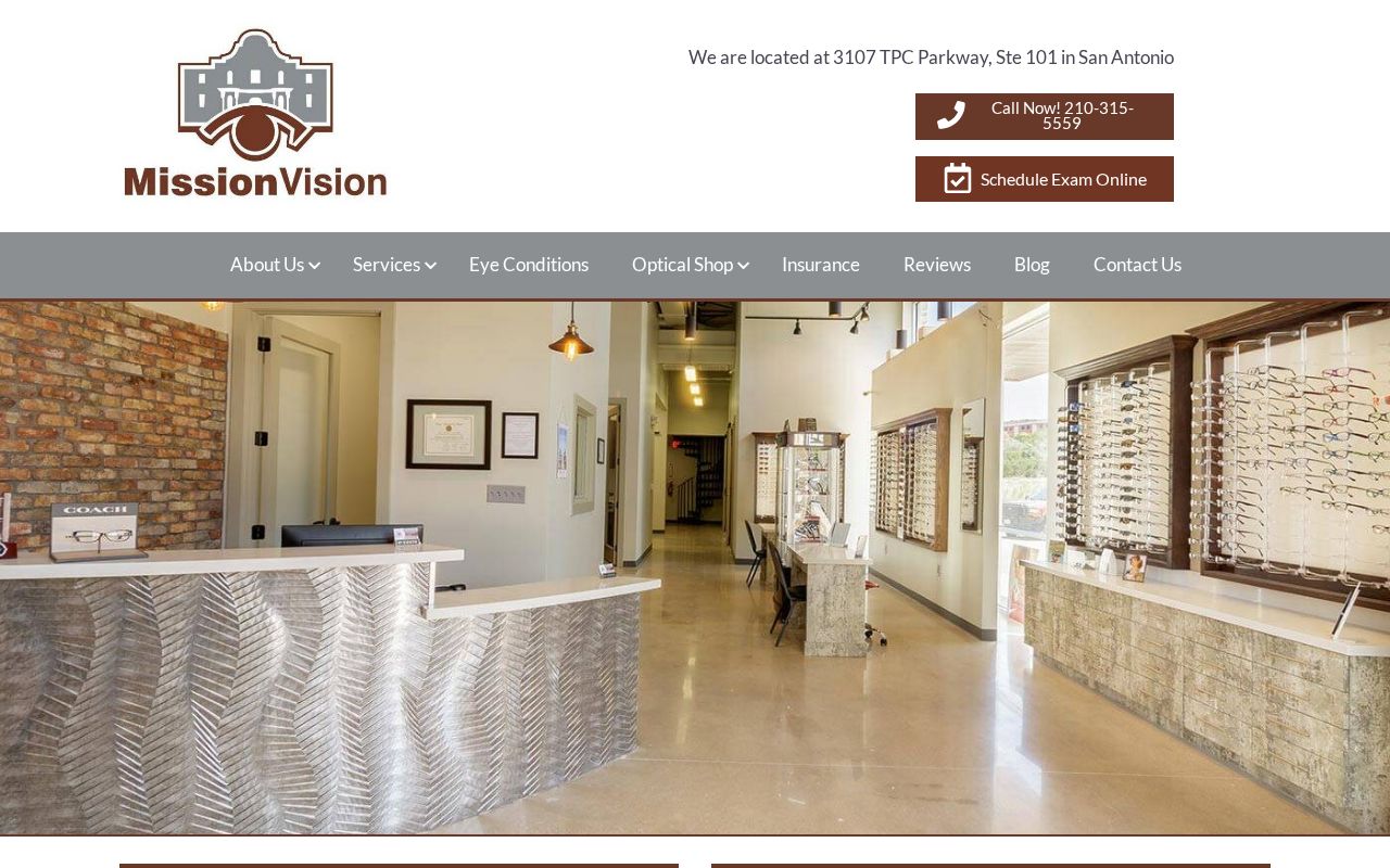 Preview of Missionvisionsa