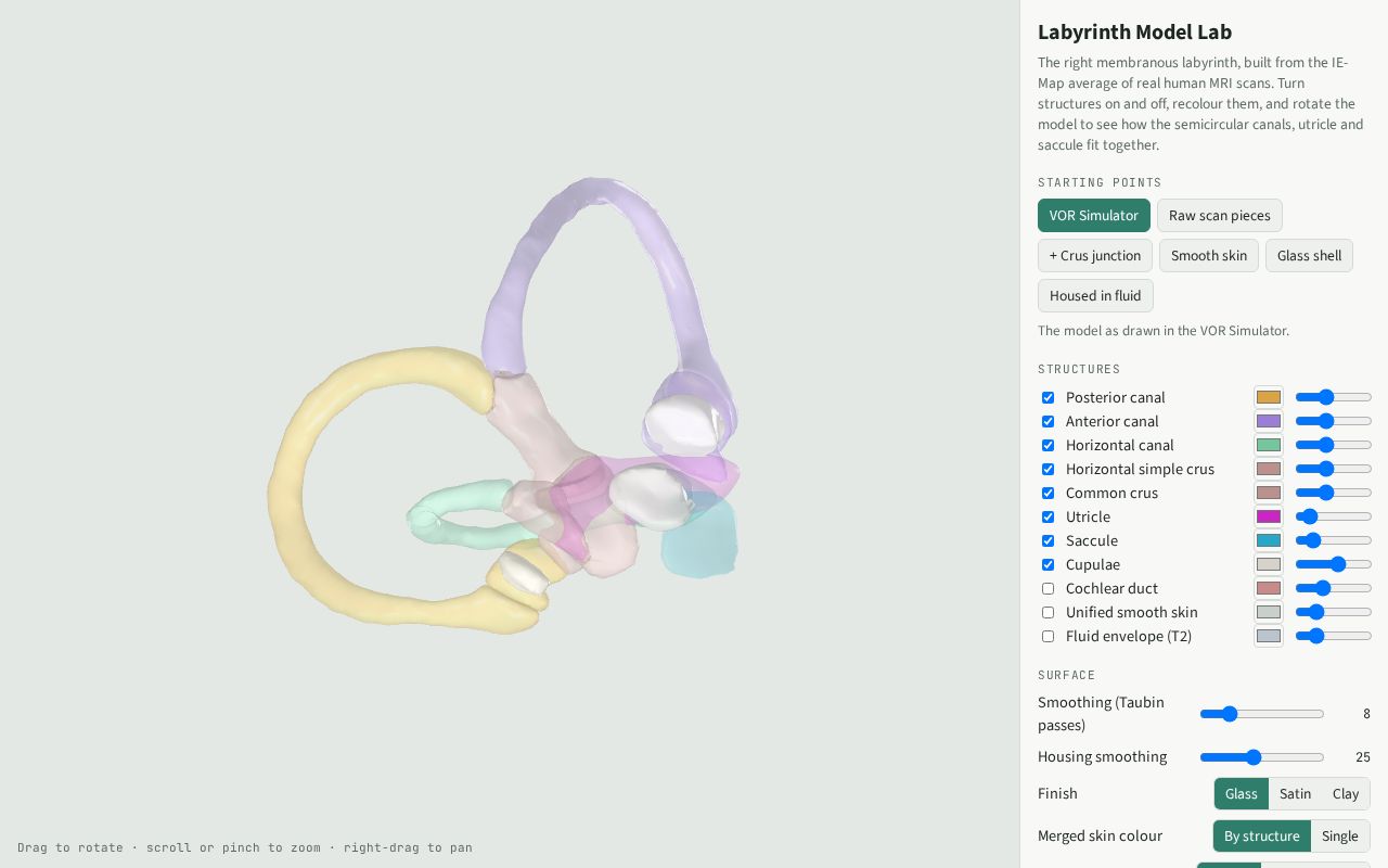 Preview of Labyrinth Model Lab