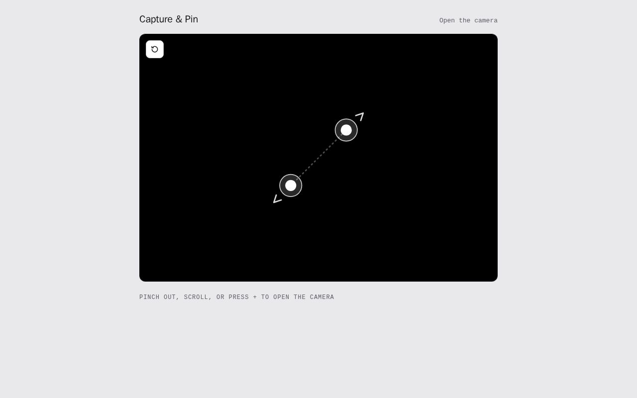 Preview of Capture & Pin