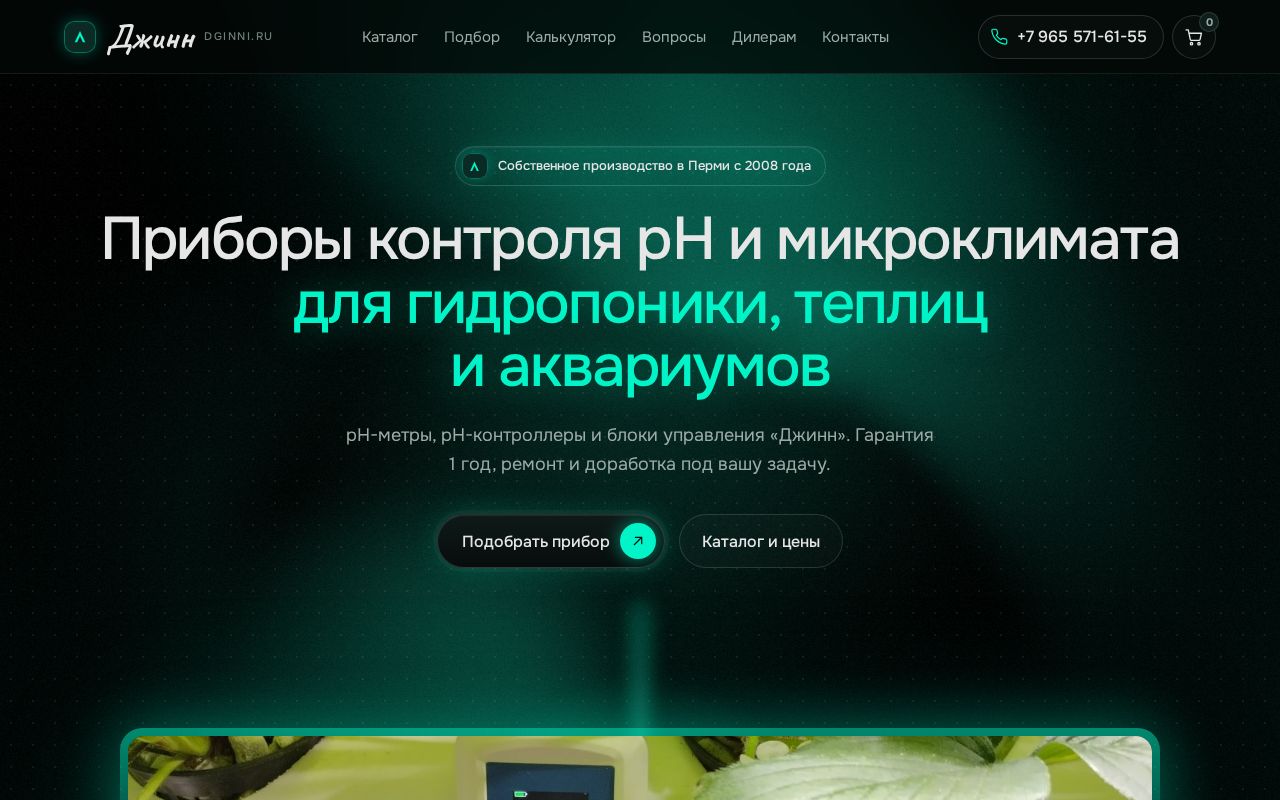 Preview of Dginni