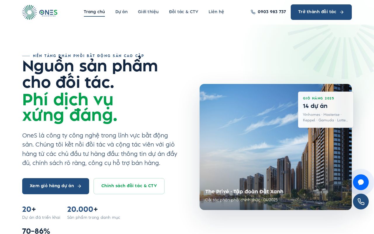 Preview of Ones Website