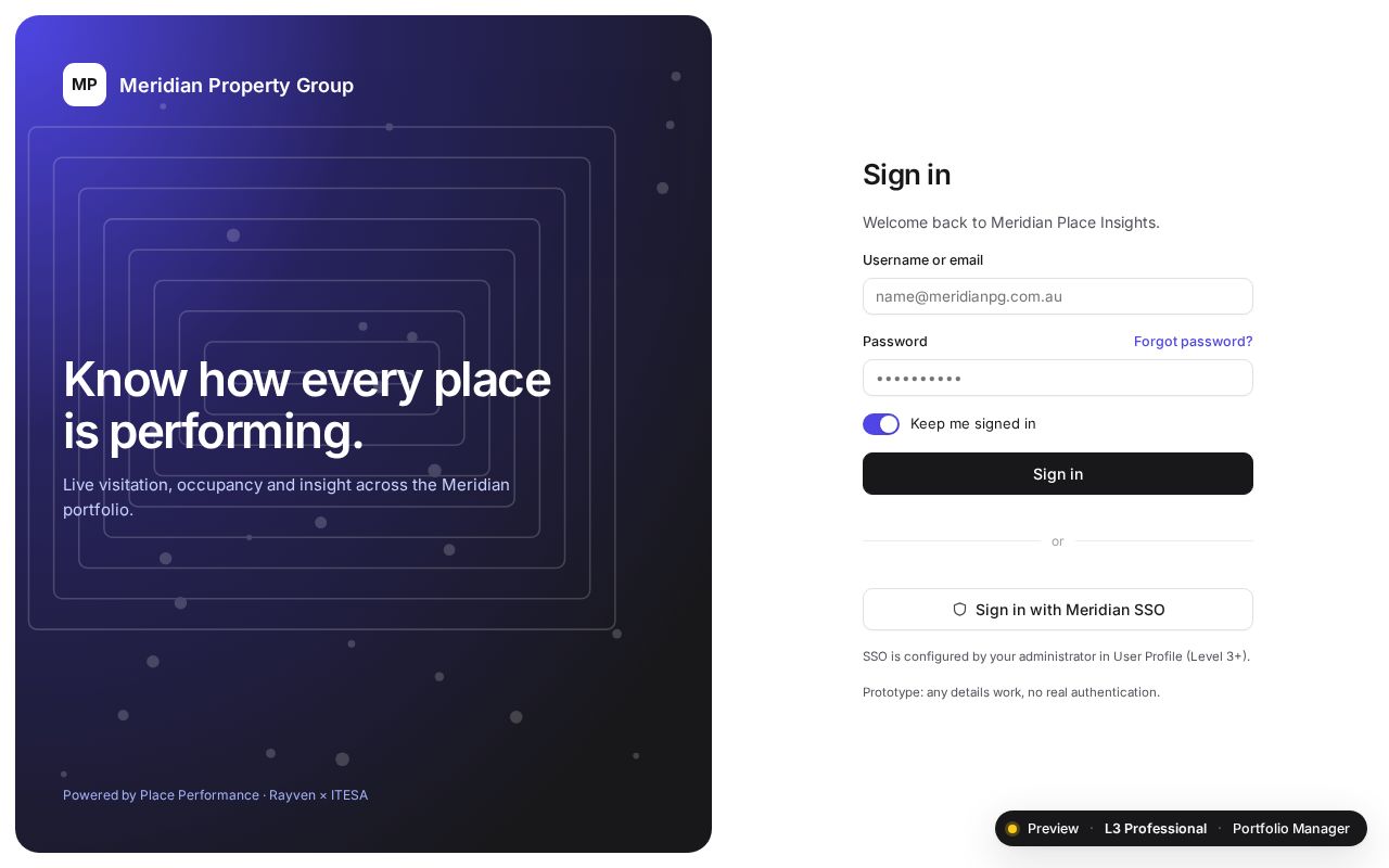 Preview of Place Performance