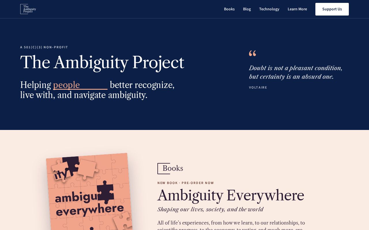 Preview of Ambiguity Project