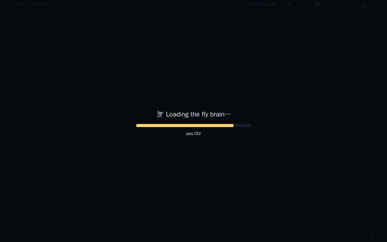 Preview of Flywire Playground