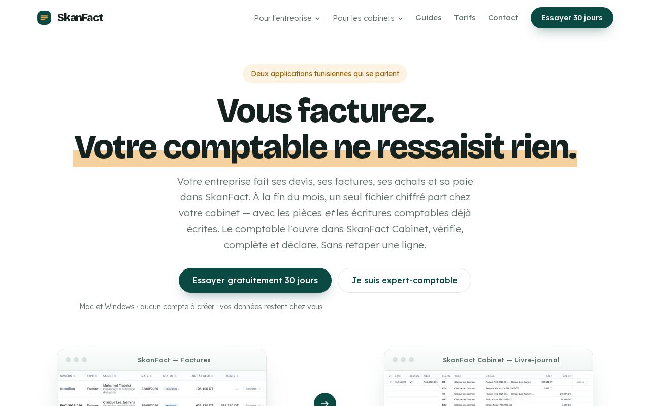 Preview of Skanfact Site