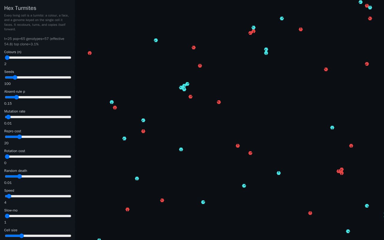 Preview of Hex Turmites