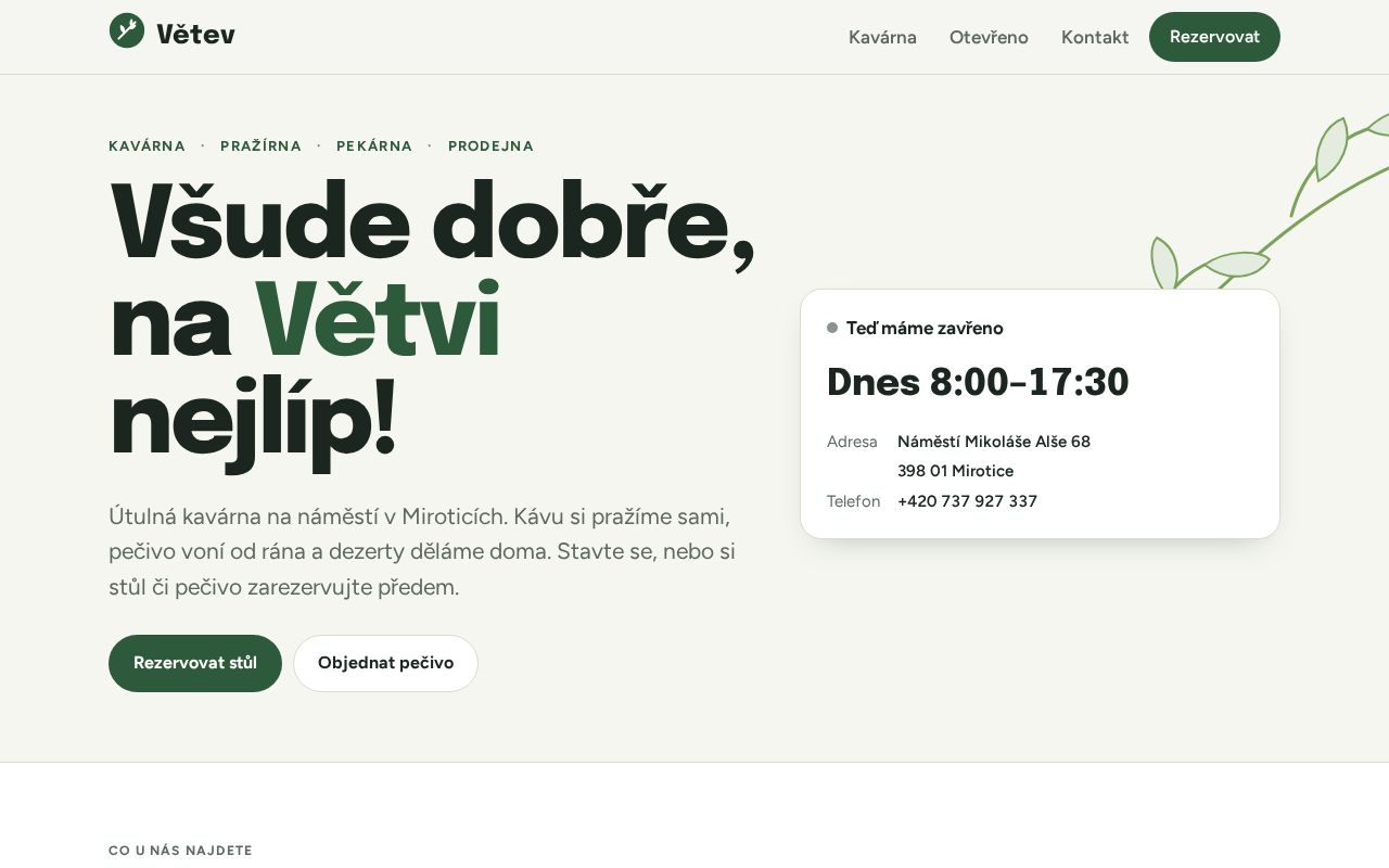 Preview of Vetev Website
