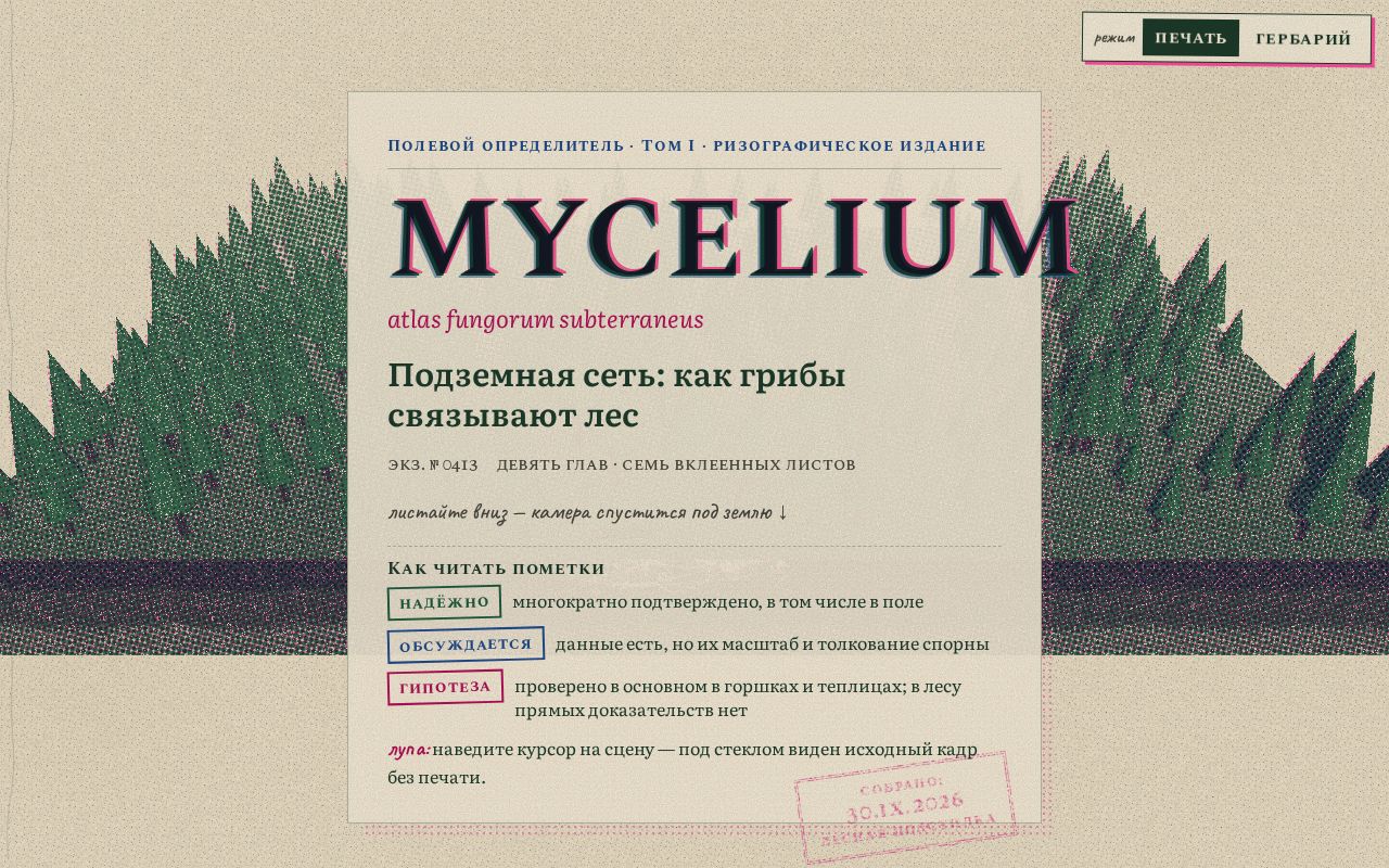 Preview of MYCELIUM