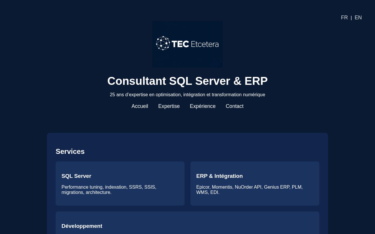 Preview of tecetcetera.ca website - SQL & ERP Consultant