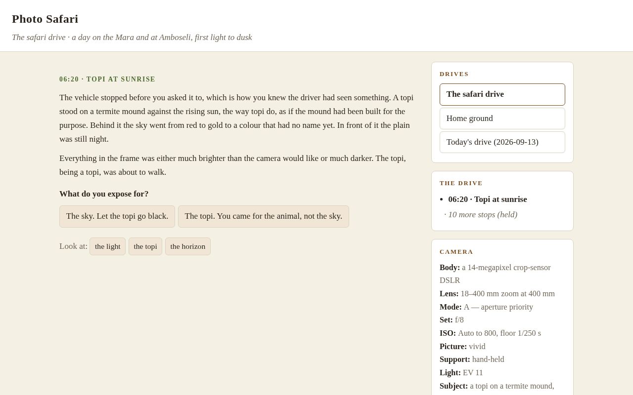 Preview of Photo Safari Tutorial Game