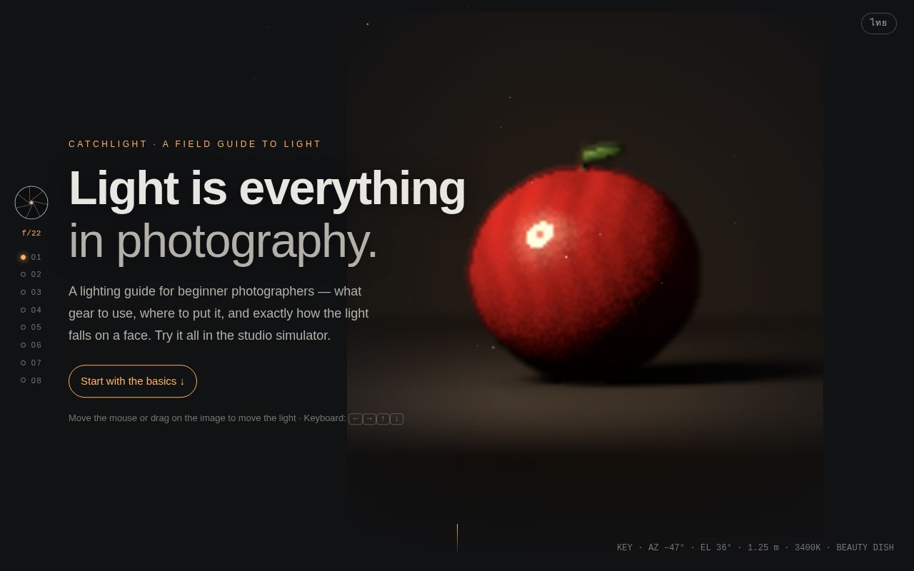 Preview of Catch Light