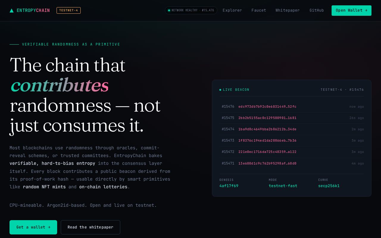 Preview of Entropychain