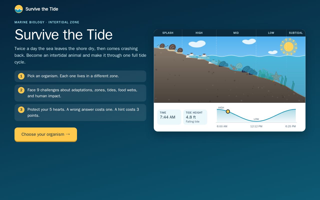 Preview of Survive the Tide: Intertidal Zone Game