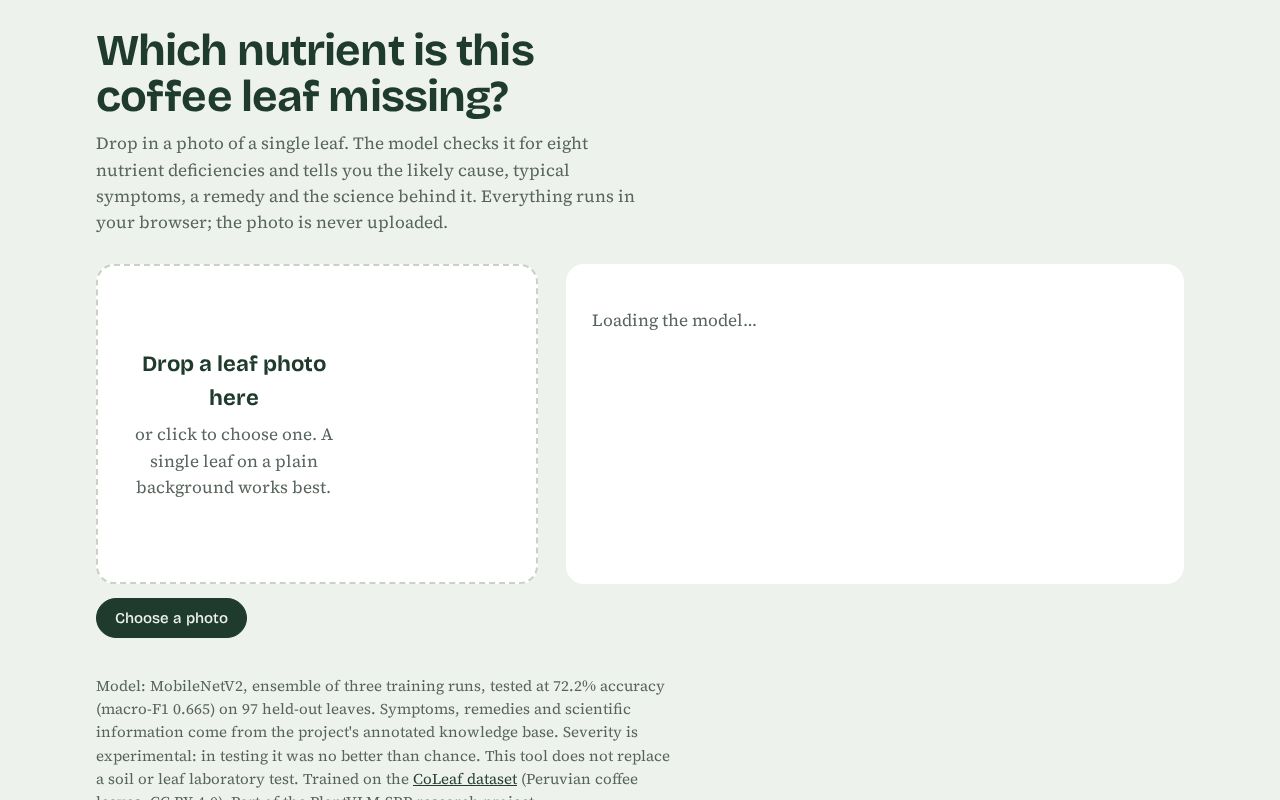 Preview of PlantVLM-SRP Leaf Diagnosis