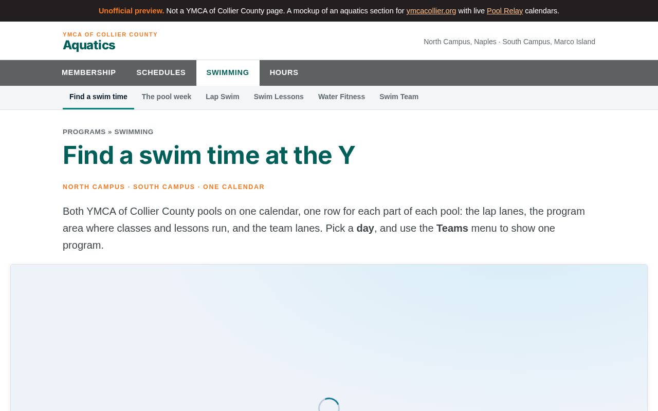 Preview of Swimming at the Y