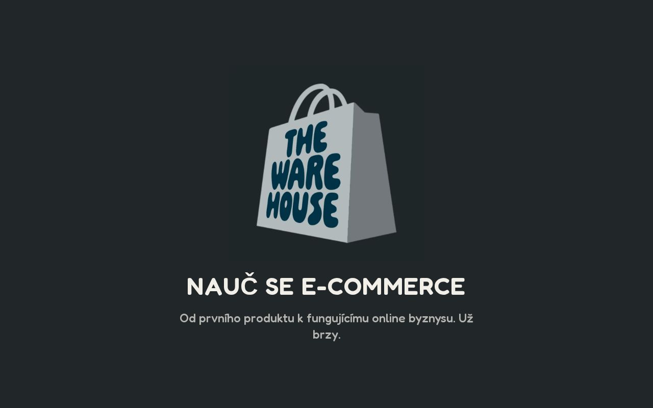 Preview of The Warehouse Temporary Website