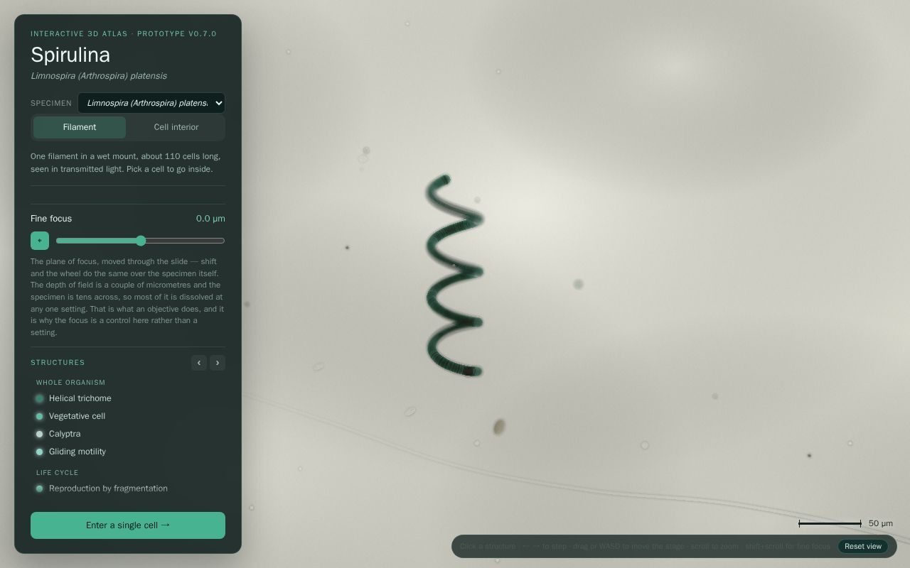 Preview of Microalgae 3D Atlas
