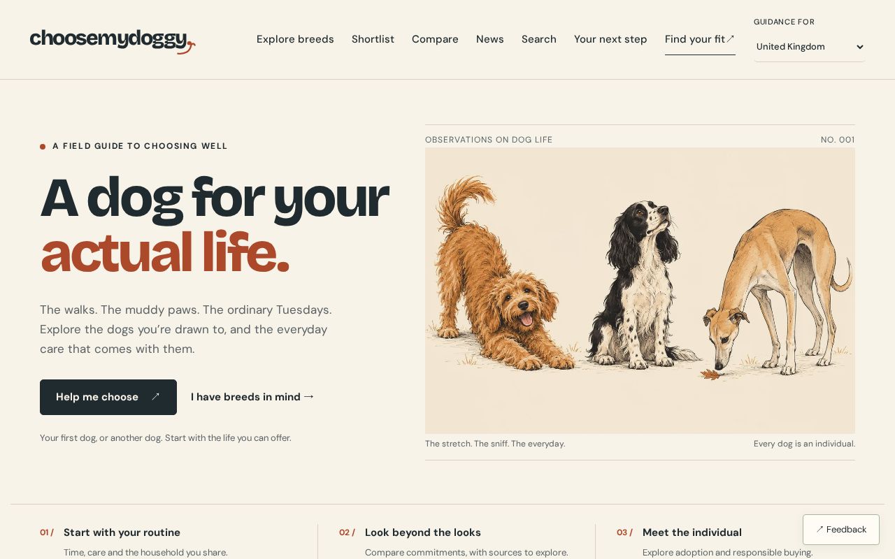 Preview of A dog for your actual life