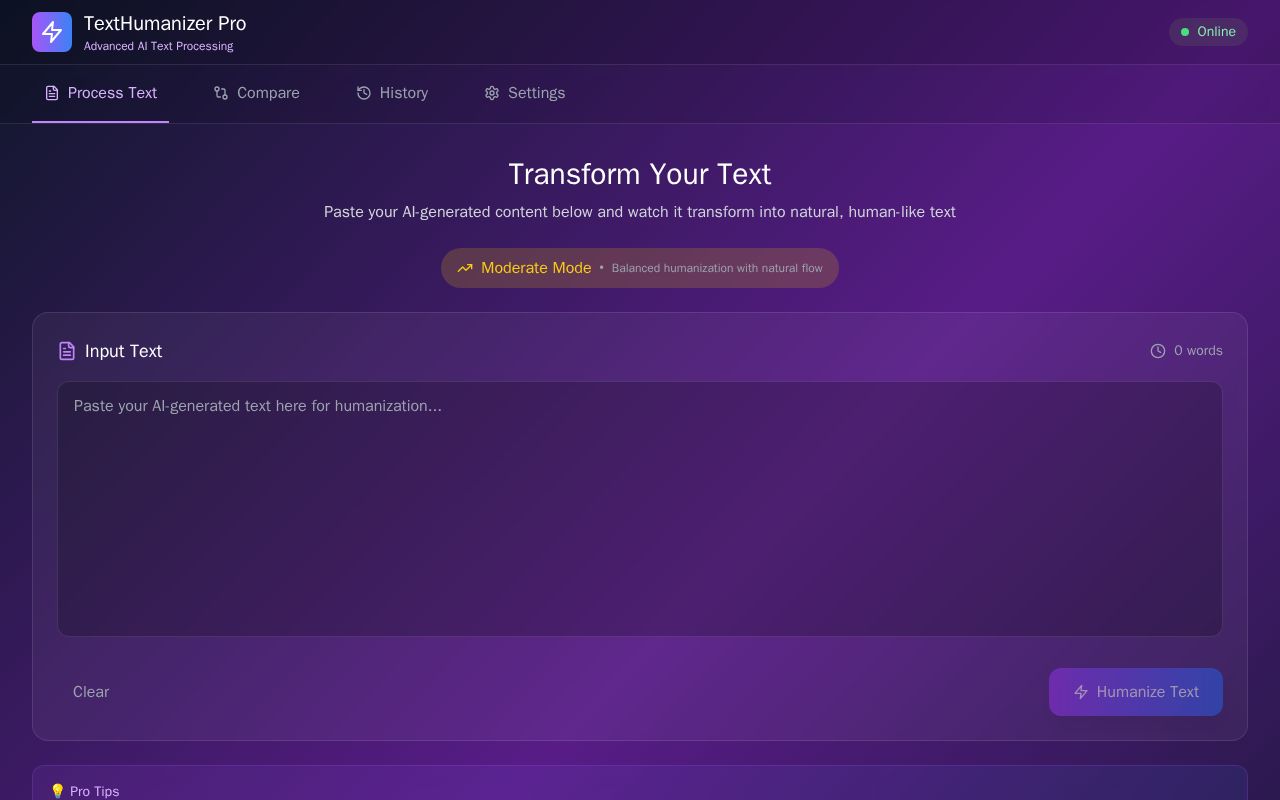 Preview of TextHumanizer Pro
