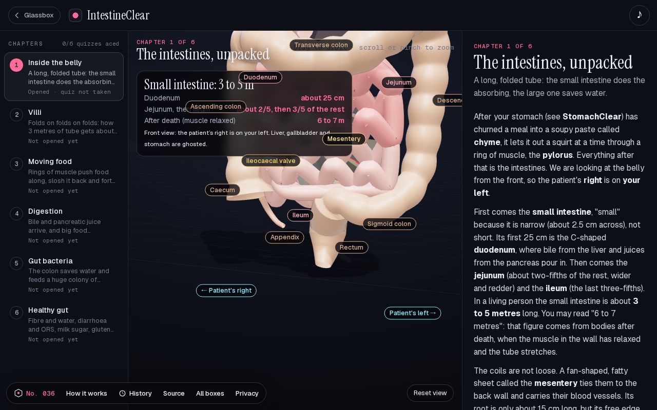 Preview of IntestineClear: How do the intestines work?