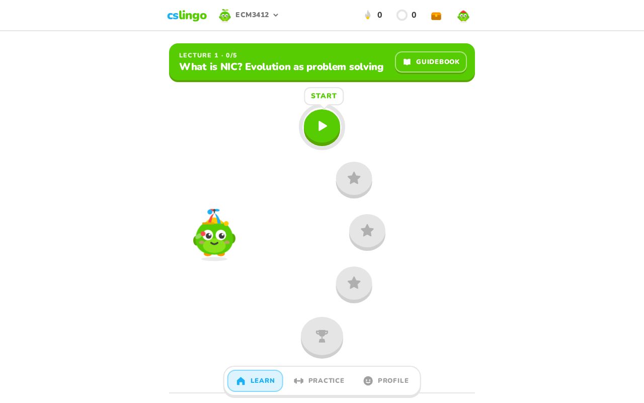 Preview of Cslingo