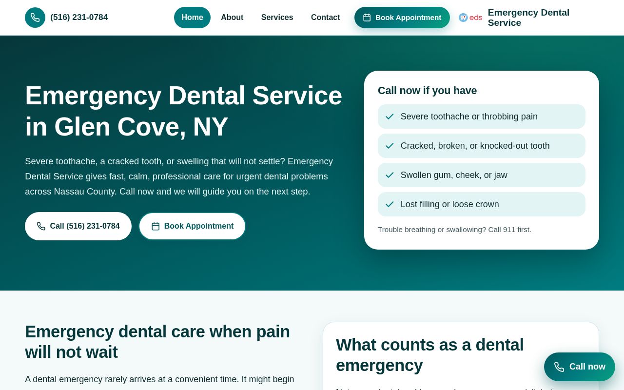 Preview of Emergency Dental Service