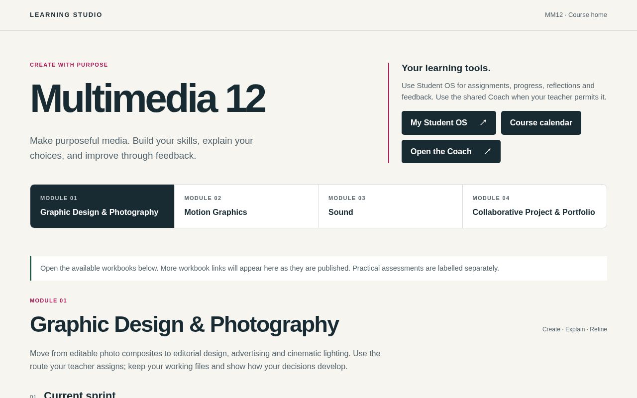 Preview of Multimedia 12