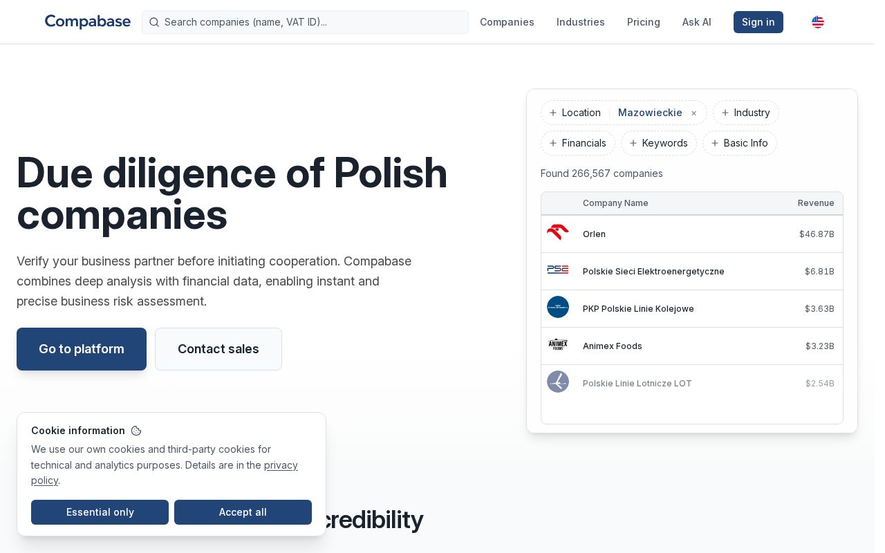 Preview of Polish KYB MCP