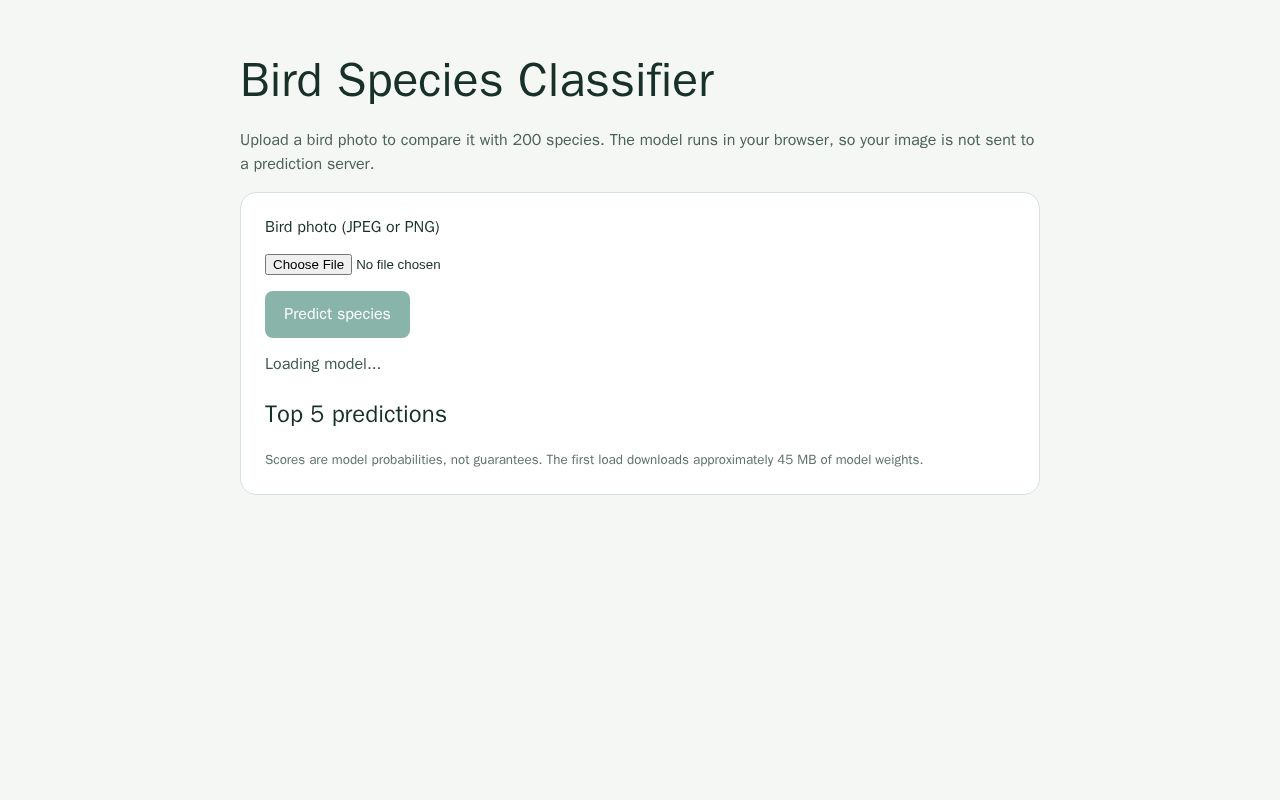 Preview of Bird Species Classifier
