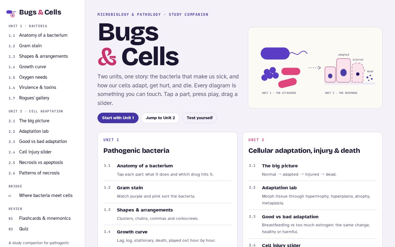 Preview of Bugs & Cells