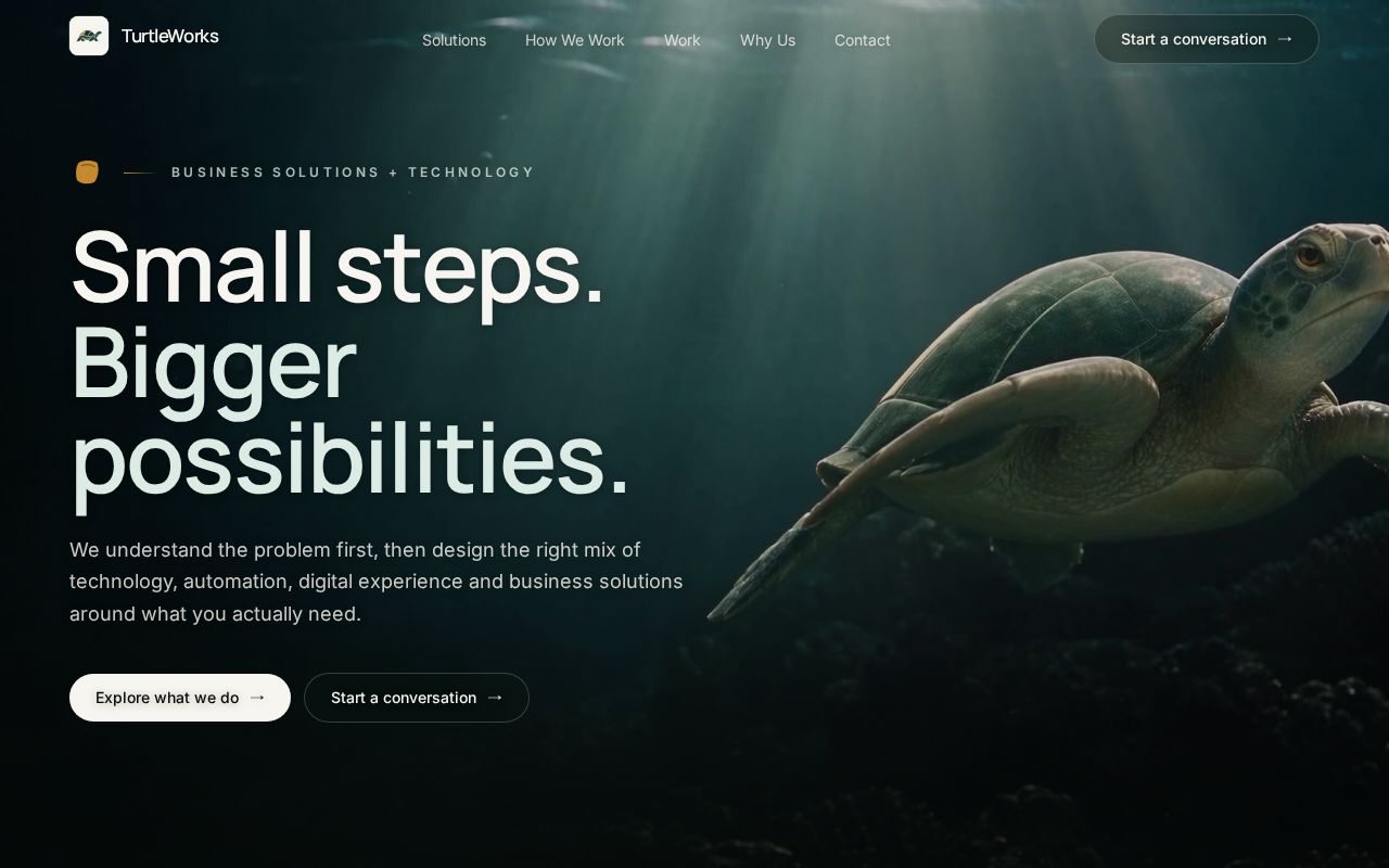 Preview of Turtleworks