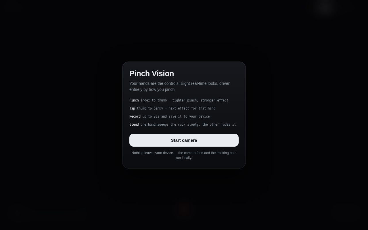 Preview of Pinch Vision