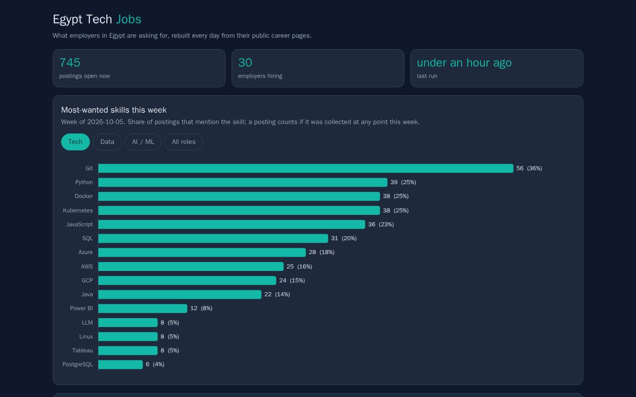 Preview of Egypt Tech Jobs Pipeline